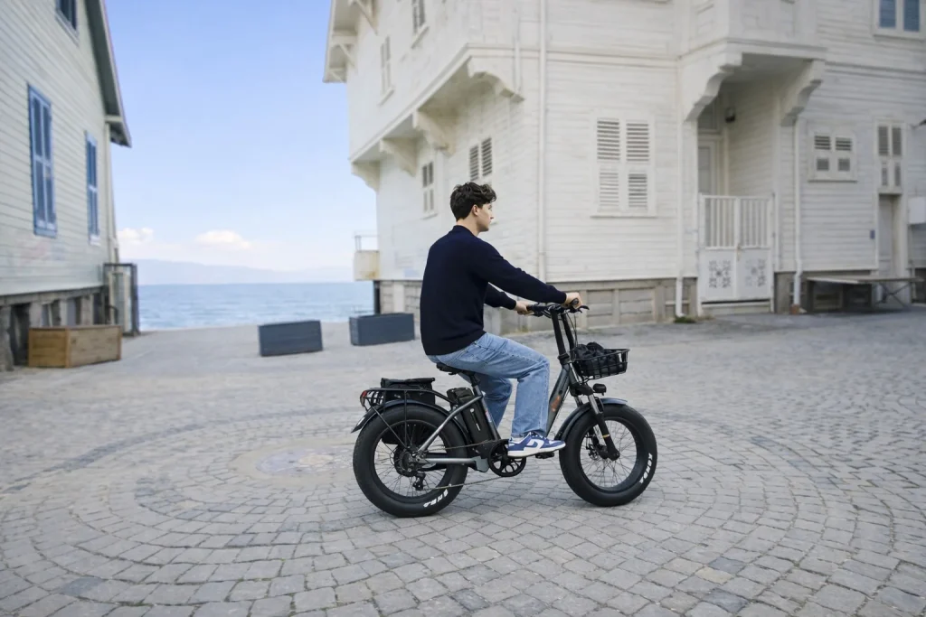 Alba Fold S Standart Katlanır Elektrikli Bisiklet