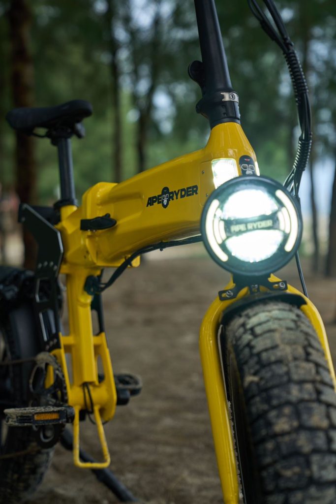 Ape Ryder Loris Elektrikli Bisiklet 2026