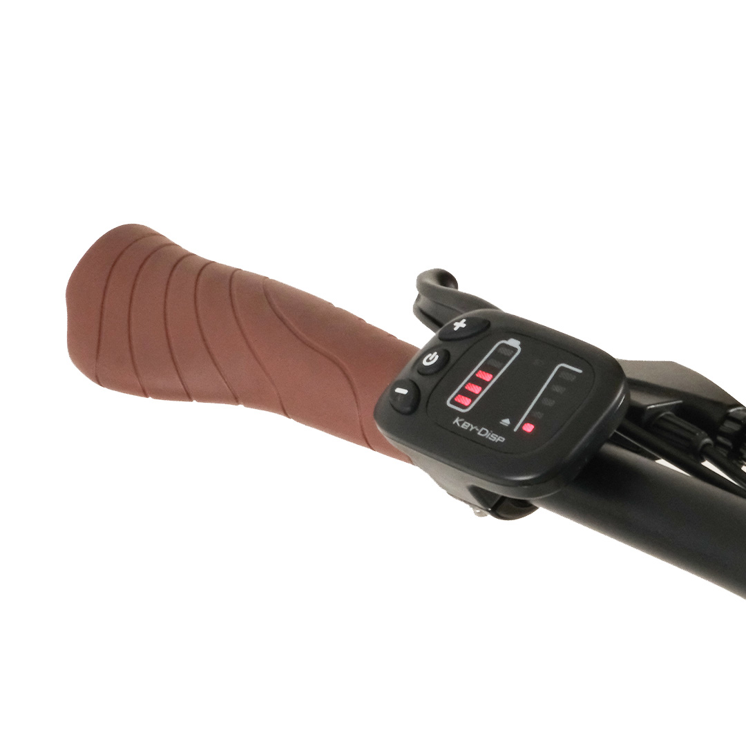 OLA Electrolight EFL2 250 W Katlanabilir Elektrikli Bisiklet