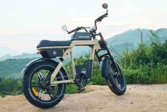 Ape Ryder Baboon Elektrikli Bisiklet