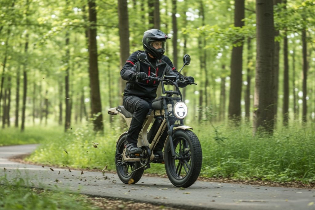 Ape Ryder Mandrill 1000W Elektrikli Bisiklet